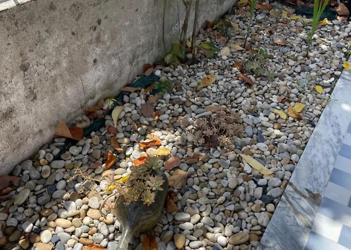 Casa Da Corga Feriehus